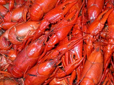 How To Cook Crawfish, Easy Apple Dumplings, Crawfish Recipes, Lime Salmon, Marinated Salmon, Boiled Food, Healthy Salmon, Shellfish Recipes, Seafood Boil