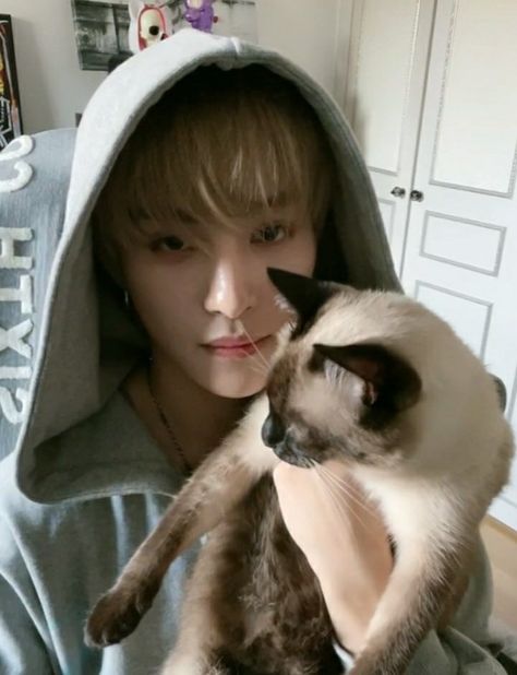 Men With Cats, Yangyang Wayv, This Guy, K Idols, Pop Group, Boyfriend Material, Nct 127, Nct Dream, Photo Book