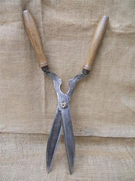 Vintage Garden Shears Vintage Gardening Tools, Vintage Shears, Old Garden Tools, Perspective Drawing Architecture, Garden Scissors, Vintage Gardening, Garden Shears, Madding Crowd, Body Map