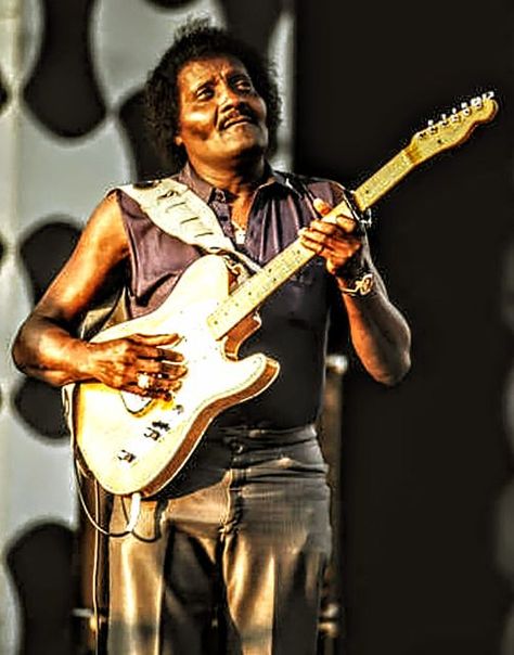 ALBERT COLLINS Albert Collins, Blues Musicians, Blues Artists, Blues Music, Guitar Hero, Musician, Guitar, Music, Blue