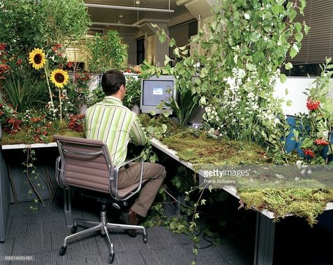 office-worker-at-desk-covered-in-plants-and-flowers-rear-view-picture-id200514500-001 Organizational Psychology, Cubicle Office, Cubicle Decor Office, Desk Cover, Harvard Business, Office Cubicle, Cubicle Decor, Design Living Room, Cubicle