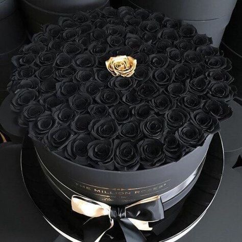 Mode Logos, Million Roses, Rosen Box, Flower Box Gift, Black Roses, Flowers Bouquet Gift, Trendy Flowers, Luxury Flowers, Black Flowers