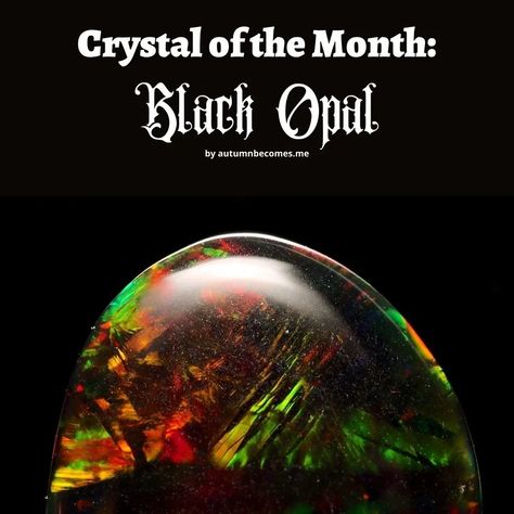 Crystal of the Month: Black Opal Crescent Roll Pastry, Sweet Bacon, Opal Meaning, Easy Treats To Make, Pumpkin Ice Cream, Higher State Of Consciousness, Floating In Space, Nebulas, Black Backdrops