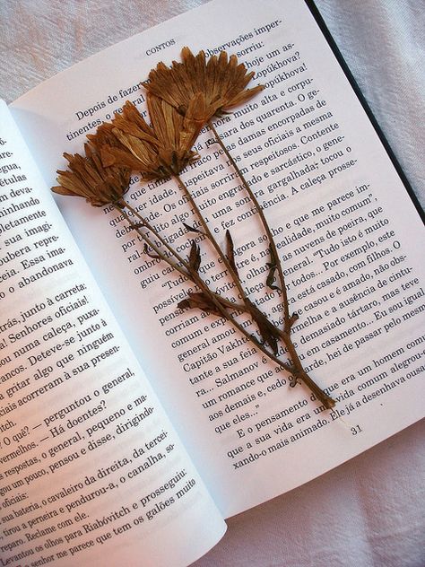 Book Flowers, Cozy Season, Good Books, Hair Accessories, Pasta, Reading, Books, Flowers, Beauty