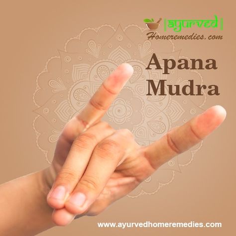 Apana Mudra helps to get rid of waste Materials, including negativity. The main purpose of this pose is to practice Apana Vayu, energy that flows downward. This is very important in removing stools, gas, urine, sweat, or even blood that the body does not want. Apana Mudra, Surya Mudra, Prana Mudra, Yoga Mudras, Yoga Mudra, Gyan Mudra, Powerful Meditation, Hand Mudras, Health Yoga