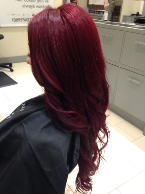 Deep Ruby Red Hair, Dark Red Curtain Bangs, Crimson Red Hair Color, Red Burgandy Hair, Blood Red Hair Color, Deep Cherry Red Hair, Deep Red Hair Color, Red Hair Ideas, Pelo Color Vino