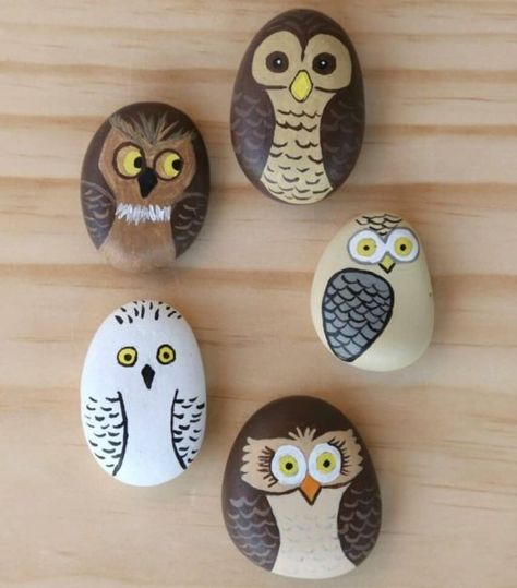 102 Rock Painting Ideas to Spark Your Creativity Owl Pebble Art, Cute Rock Painting Ideas Easy Animals, Animal Rock Painting Ideas, Bird Rock Painting, Rock Painting Animals, Pebble Painting Ideas, Owl Rock Painting, Cool Rock Painting Ideas, Owl Painted Rocks