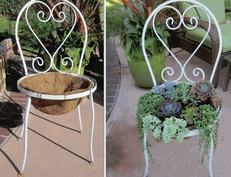 Diy Chair Planter, Chair Planters Diy, Succulent Chandelier Diy, Old Chair Garden Decor, Succulent Chair, Chair With Succulents, Chair Planter, Succulent Garden Design, Garden Decor Projects