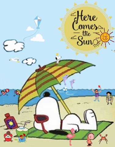 Snoopy:  Here Comes the Sun via GIPHY Beach in the summer, dancing, play, fun, kites, sea creatures Charlie Brown Y Snoopy, Under An Umbrella, Woodstock Snoopy, Snoopy Funny, Snoopy Images, Peanuts Cartoon, Peanuts Characters, Snoopy Wallpaper, Snoopy Quotes