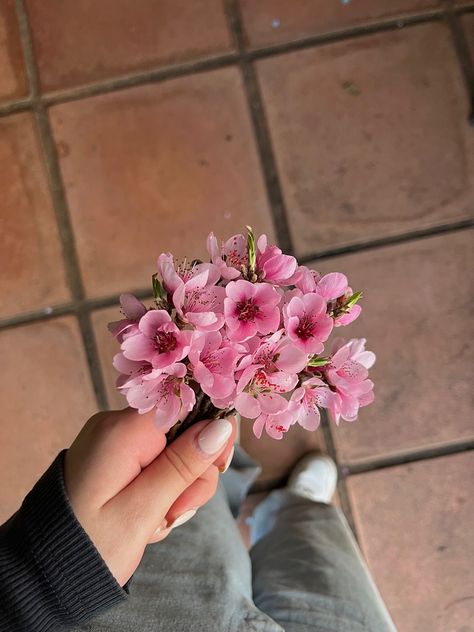 #pink #nails #flowers #aesthetic #blossoms Luxury Flowers, Pink Flowers, Blossom, Pink, Flowers