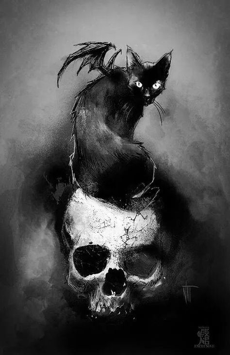 . A Black Cat, A Skull, 영감을 주는 캐릭터, Skull And Bones, Gothic Art, Grim Reaper, Pusheen, Skull Art, The Shape