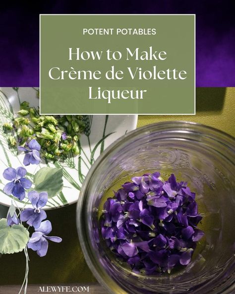 APOTHECARY: How to Make Homemade Creme de Violettes Liqueur Apothecary Cocktails, Passion Spell, Violet Liqueur, Magic Apothecary, Drinks Homemade, Special Occasion Dinner, Aviation Cocktail, Liqueurs Recipes, Diy Drinks