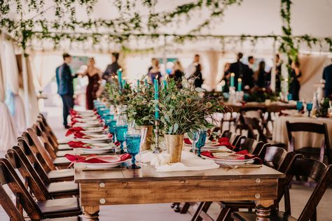 My Favorite Traverse City Wedding Vendors - Nicole Geri Photography Traverse City Wedding, Traverse City, City Wedding, Wedding Vendors, My Favorite, Table Decorations, Photography, Home Decor, Home Décor