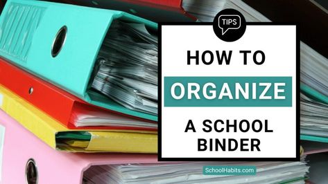 How To Organize Binders For School, Cute Binder Ideas For School, High School Binder Organization, Middle School Binder Organization, Binder Organization Ideas School, Student Binder Organization, School Binder Organization, Cute Binder Ideas, Pencil Organization