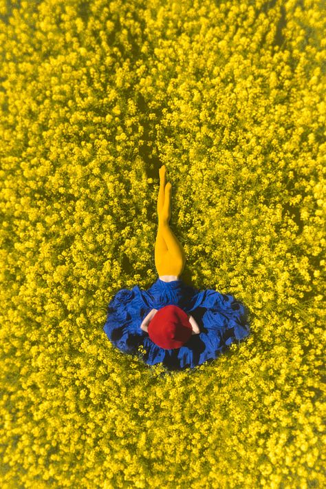 Julia Wimmerlin | Emerging Talent Awards 2016 Entry Primary Colours, Color Palette Bright, Drone Photos, Abstract Photography, Photo Challenge, Drone Photography, Cattle Dog, Mellow Yellow, Complementary Colors