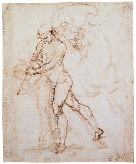 Raphael Drawings, Male Figure Drawing, Master Drawing, Human Figure Drawing, Anatomy Drawing, Figure Drawing Reference, Male Figure, Caravaggio, Human Figure