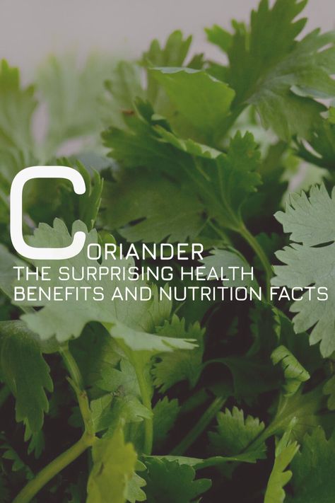 If you’re looking for a way to improve your health, you should consider adding coriander to your diet. Coriander is a nutrient-rich herb that offers many health benefits. It is loaded with antioxidants, vitamins, and minerals, making it an excellent choice for boosting your health. #coriander #corianderseeds #corianderleaves #corianderbenefits #coriandernutrition #corianderplant #corianderhealthbenefits Coriander Benefits Health, Health Benefits Of Coriander, Benefits Of Coriander, Coriander Oil, Potted Herbs, Herb Pots, Coriander Leaves, Aromatic Herbs, Lower Blood Sugar