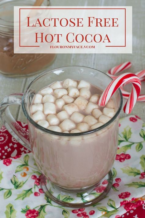 Lactose Free Hot Cocoa and dairy free hot cocoa mix recipe via flouronmyface.com #ad #Lactaid #DairyEnvy Lactose Free Hot Chocolate Crockpot, Coco Recipes, Dairy Free Hot Cocoa, Cocoa Mix Recipe, Dairy Free Hot Chocolate, Crockpot Christmas, Hot Cocoa Mix Recipe, Holiday Food Crafts, Hot Chocolate Mix Recipe