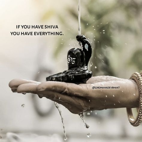 Sivan Lord Quotes, Shiva Dp, Sivan Lord, Om Namah Shivaya Quotes, Lord Quotes, Shiva Quotes, Lord Quote, Mahadev Shiva, Mahadev Ji