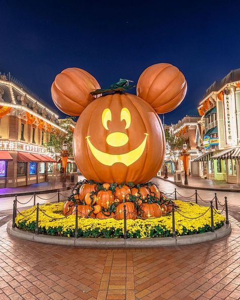 Halloween at Disney | Main Street USA | Halloween at Disneyland Disney Main Street, Halloween At Disney, Halloween At Disneyland, Disneyland Main Street, Usa Pictures, Mickey Pumpkin, Disneyland Halloween, Happy Pumpkin, Dark Disney