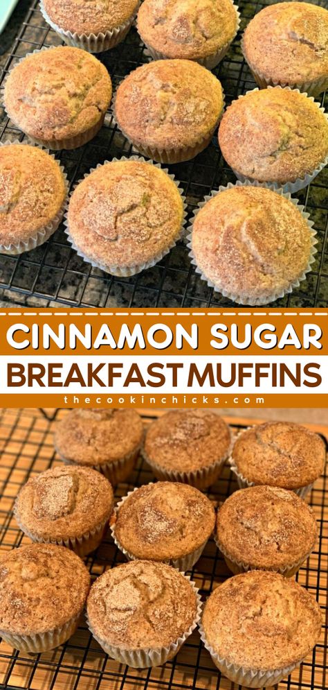 You're less than 20 minutes away from an easy breakfast on the go! Moist, fluffy, and not too sweet, these Cinnamon Sugar Muffins are a great way to start the day. Put this homemade muffin recipe on your back-to-school food! Easy Cinnamon Muffin Recipes, Back To School Muffins, Homemade Muffin Recipe, Vanilla Muffins Recipe Easy, Cinnamon Roll Muffins Easy, Cinnamon Sugar French Toast Muffins, Easy Muffins Recipe, Homemade Muffins Easy, Quick Muffin Recipes