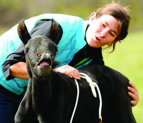 Natural Horsemanship Training, Natural Horsemanship, Timing Is Everything, After Birth, Human Interaction, First Humans, Horse Training, Horse Care, Mental And Emotional Health