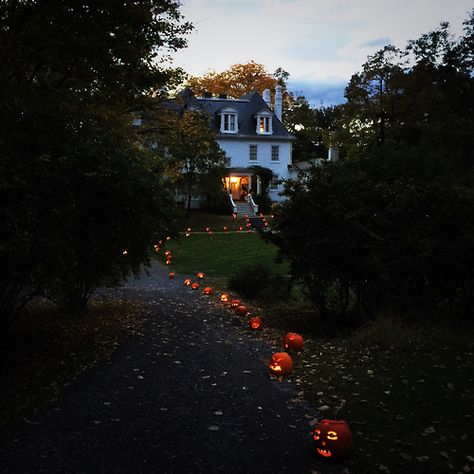 Pumpkin Path for Halloween | C Up House, Fall Feels, Best Seasons, Autumn Cozy, Autumn Aesthetic, On The Ground, Jack Skellington, Cozy Fall, Dia De Muertos