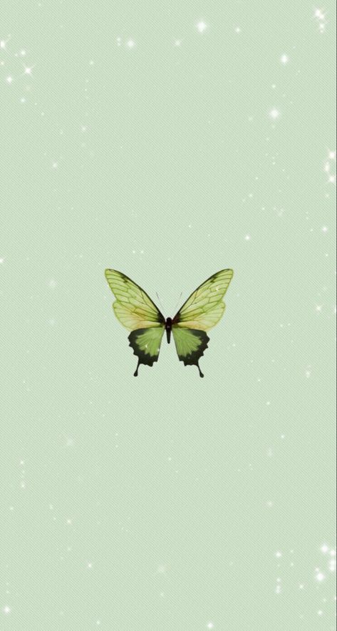 Light Green Butterfly Wallpaper, Butterfly Wallpaper Iphone, Cartoons Love, Green Butterfly, Going Green, Macbook Wallpaper, Iphone Wallpaper Girly, Butterfly Wallpaper, Gold Butterfly