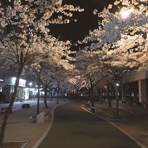 Dark Paradise, Japan Aesthetic, Aesthetic Japan, Night Aesthetic, City Aesthetic, Pretty Places, Aesthetic Photography, Land Scape, Dark Aesthetic