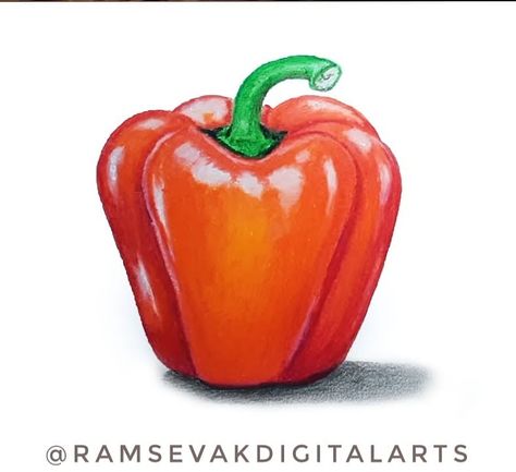 Vegetable Drawing, Garden Drawing, Pencil Shading, Oil Pastel Drawings, Coloured Pencils, Color Pencil Drawing, Art Drawings For Kids, Pastel Drawing, Pencil Sketch