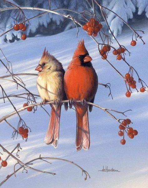 Xmas Outdoor Decorations, Mink Animal, Cardinal Pictures, Couple Birds, Birdhouse In Your Soul, Landscape Collage, Rhinestone Painting, Winter Cardinal, Christmas Cardinals