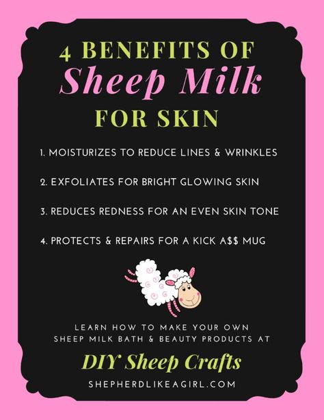 4 Benefits of Sheep Milk for Skin - Copia Cove Icelandic Sheep | Butte Montana USA Sheeps Milk Soap, Sheep Recipes, Backyard Sheep, Diy Sheep Craft, Homestead Community, Goat Products, Milk For Skin, Diy Sheep, Natural Skin Exfoliator