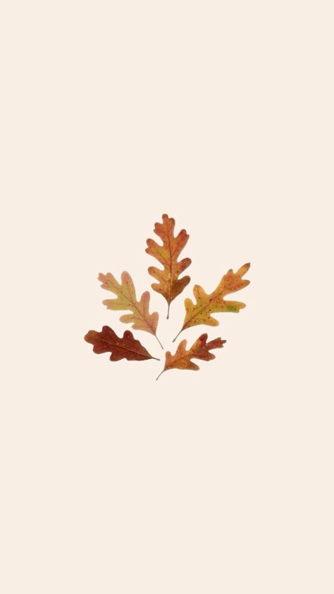 Layout, Wallpapers, Fall Ios, Ios Icon, Fall Leaves, Autumn Leaves, Ios Thanksgiving Icons Aesthetic, Brown Autumn Wallpaper, November Pfp, Changing App Icons, November Icons, November Widget, Wallpapers Fall, Fall Ios, Fall App Icons