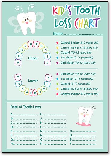 Kid's Tooth Loss Chart | SmartPractice Dental Tooth Loss Chart, Kids Teeth Chart, Baby Tooth Chart, Teeth Chart, Toothfairy Pillow, Teething Chart, Tooth Fairy Receipt, Tooth Fairy Kit, Tooth Cartoon