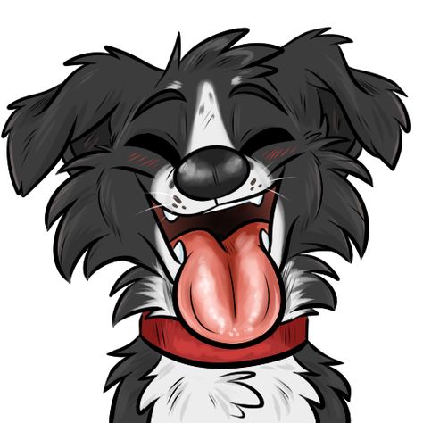 Not my artwork Border Collie Dibujo, Dog Sketch Cartoon, Border Collie Cartoon, Cartoon Border Collie, Cartoon Dog Drawing, Border Collie Art, Cute Dog Drawing, Colorful Hairstyles, Drawing Cartoon Faces