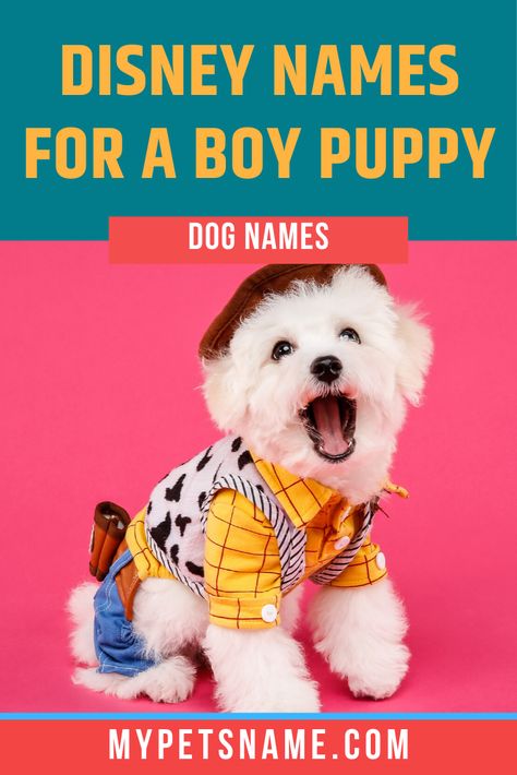 Dog Name Ideas, Boy Dog Names, Dog Costumes Funny, Disney Names, Cute Dog Toys, Costumes Funny, Lovers Gift Ideas, Best Electric Scooter, Cute Animal Pics