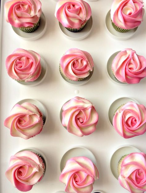 Two-tone rose swirl...try this with Wilton 1B or Ateco 855 Eggless Vanilla Cupcakes, Cupcake Frosting Tips, Cupcake Rosa, How To Pipe Roses, Frost Cupcakes, Rose Cakes, Piping Buttercream, Piping Tutorial, Flower Piping