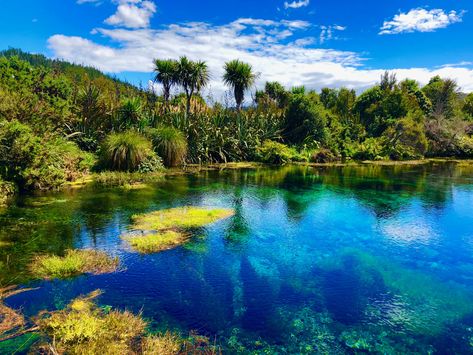 Pupu Springs, Takaka, New Zealand Blue Sky Wallpaper, Springs, New Zealand, Blue Sky, Water, Travel