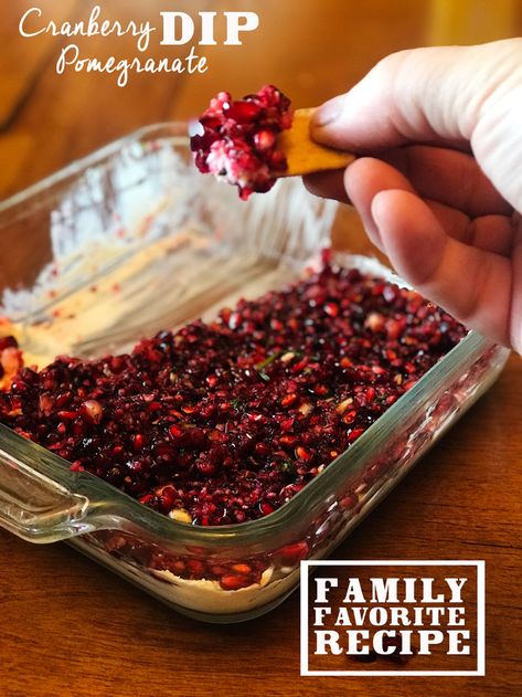 Cranberry Pomegranate Salsa Dip Pomegranate Dip Recipes, Pomegranate Dip, Pomegranate Salsa, Cranberry Dip, Cranberry Pomegranate, Cranberry Salsa, Pomegranate Recipes, Cranberry Cream Cheese, Salsa Dip