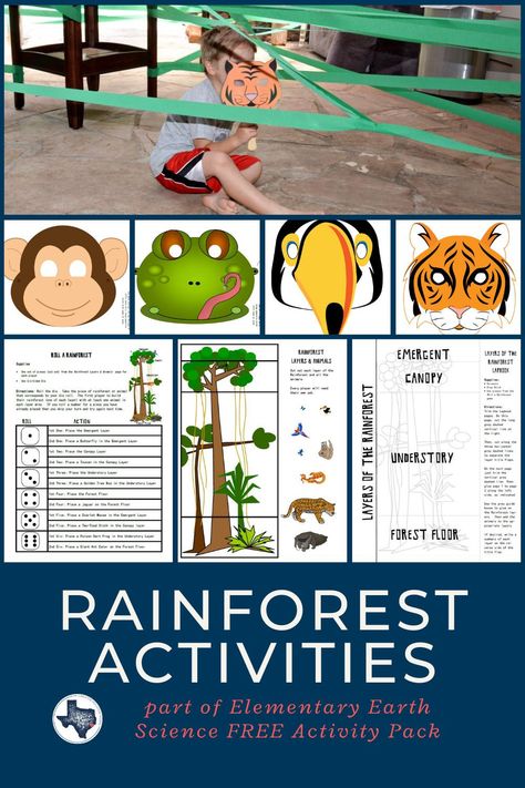 Rainforest Activities 2nd Grade, Rainforest Science Activities, Rainforest Games, Rainforest Worksheets, Preschool Rainforest, Layers Of The Rainforest, Rainforest Preschool, Forest Unit, Elementary Earth Science