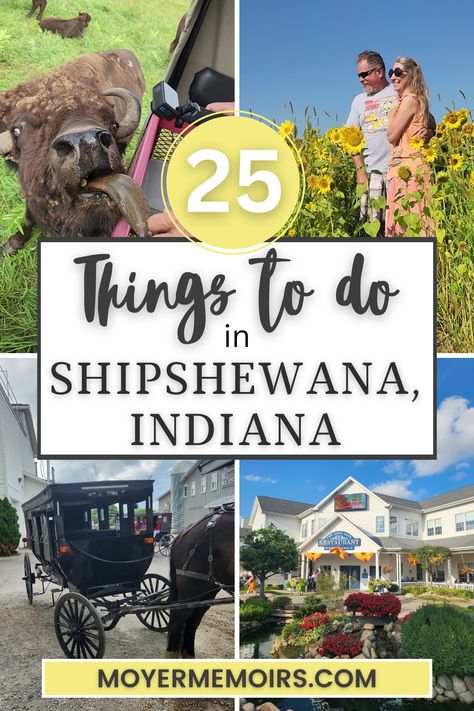 feeding bison, couple posing in a sunflower field, black Amish buggy, Shipshewana restaurant with flowers out in front. Ft Wayne Indiana, Shipshewana Indiana Things To Do, Things To Do In Indiana, Travel Indiana, Indiana Vacation, Indiana Beach, Shipshewana Indiana, Usa Places To Visit, Carmel Indiana