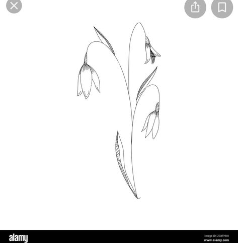 Snow Drop Spine Tattoo, Snowdrop Flower Drawing Simple, Fine Line Tattoo Snowdrop, Snowdrop Bouquet Tattoo, Snow Drop Flower Tattoo Small, January Snow Drop Tattoo, Snow Drops Tattoo, Linnea Flower Tattoo, Snowdrop Tattoo Design