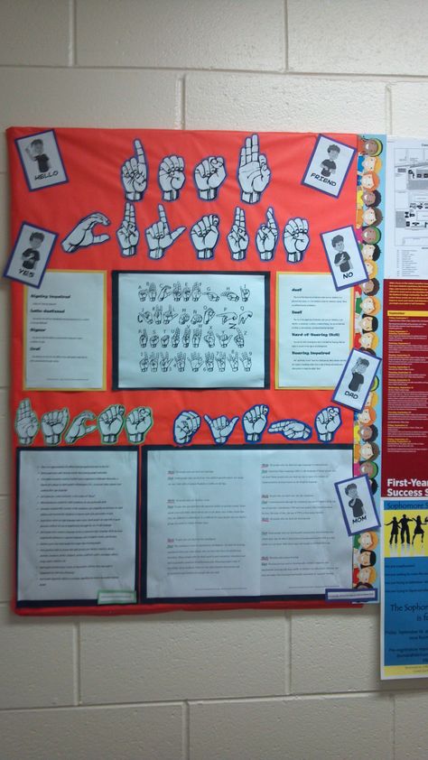 Deaf Culture Board Deaf Education Classroom, Asl Bulletin Board Ideas, Deaf Classroom, Asl Classroom, College Bulletin Boards, Deaf Awareness, Deaf Education, Ra Boards, Classroom Helpers