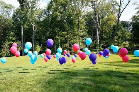 Balloons On Lawn - First Birthdays Lawn Birthday Decorations, Nature Weddings, How To Make Confetti, Baby Shower Checklist, Baby Shower Balloon Decorations, First Birthday Balloons, Blowing Up Balloons, Shower Balloons, Personalized Party Decor