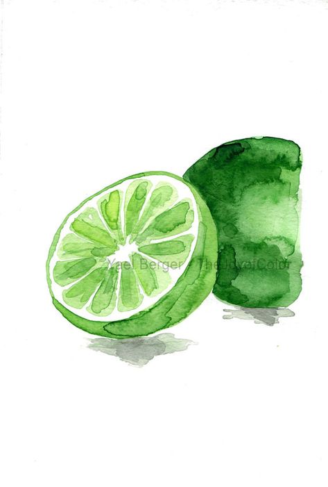 Lime art print of my original watercolor painting (the original was sold), botanical study. Minimalist citrus print. kitchen decor. * water mark Lime Watercolor, Study Minimalist, Lime Art, Fruits Art, Botanical Study, Fruit Artwork, Watercolor Food, Watercolor Fruit, Cat Air