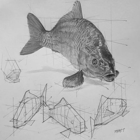 How To Draw Fish, Improve Your Drawing Skills, Improve Your Drawing, Structural Drawing, Drawing Course, Object Drawing, Industrial Design Sketch, Perspective Art, Your Drawing