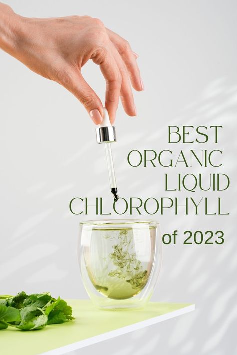 Explore the best organic liquid chlorophyll supplements in 2023 and uncover the incredible benefits of liquid chlorophyll drops. Elevate your wellness journey with these top-rated picks. #liquidchlorophyll #liquidchorophylldrops #bestliquidchlorophyll #liquidchlorophyllbenefits Liquid Chlorophyll Benefits, Chlorophyll Drops, Chlorophyll Benefits, Liquid Chlorophyll, Herbal Recipes, Healthy Juice Recipes, Herbal Healing, Juice Recipes, Wellness Journey