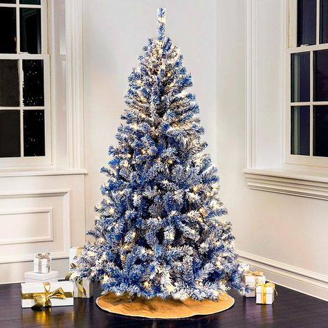 Christmas Tree Spray, Blue Christmas Tree Decorations, Christmas Tree Store, Slim Artificial Christmas Trees, Christmas Tree Snow, Christmas Door Decorating Contest, Frosted Christmas Tree, Pine Christmas Tree, Blue Christmas Tree