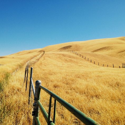 Del Puerto Canyon. | attilaadam | VSCO Yellow Hills, California Hills, San Joaquin Valley, California Landscape, Natural Landscapes, California Love, Kitchen Window, Rolling Hills, Sky And Clouds