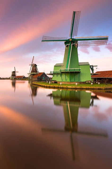 9 Best Things To Do In Zaanse Schans, The Netherlands Dutch Village, Grass And Flowers, Zaanse Schans, Wooden Bridge, Netherlands Travel, Picture This, The Netherlands, Netherlands, Things To Do